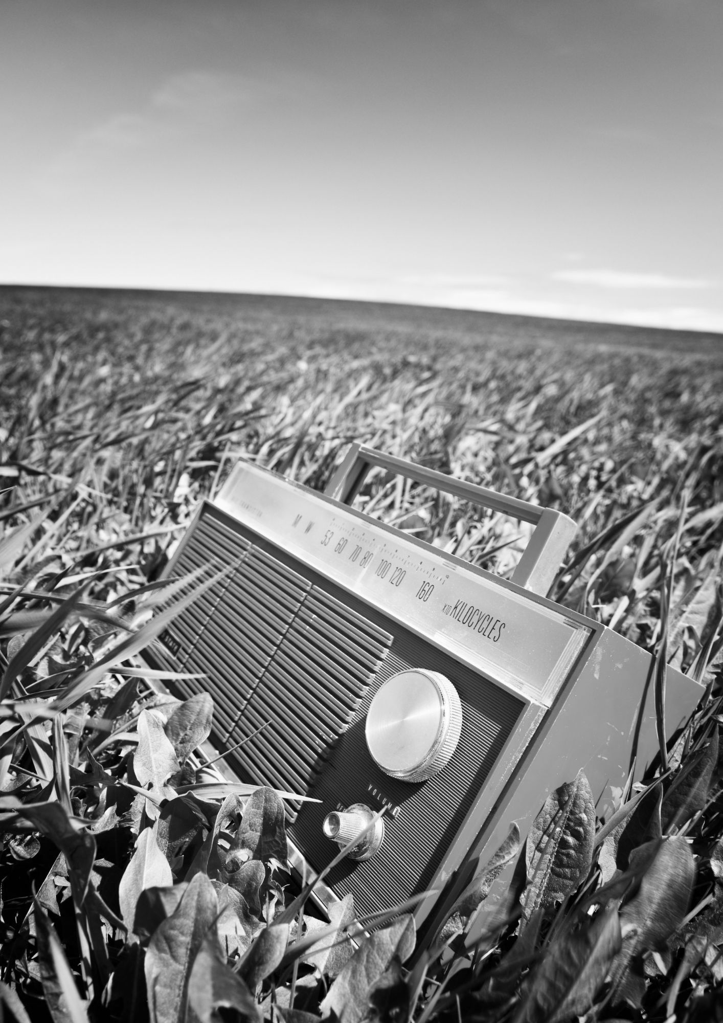 Untitled design.pdf - 1